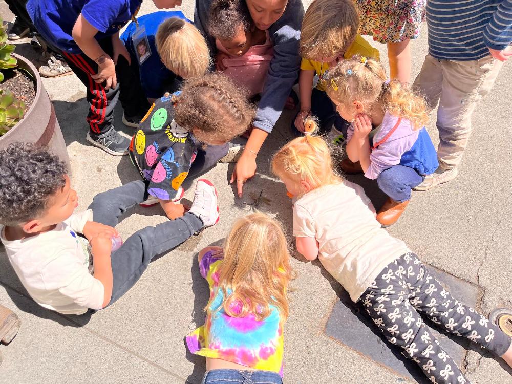 Kids huddled around a dragonfly